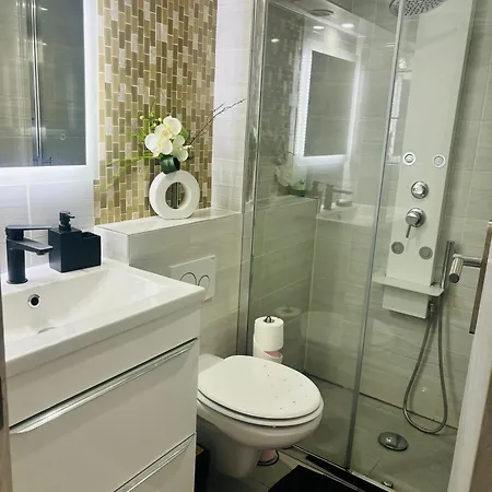Apartment Domnica *
